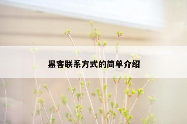 黑客联系方式的简单介绍