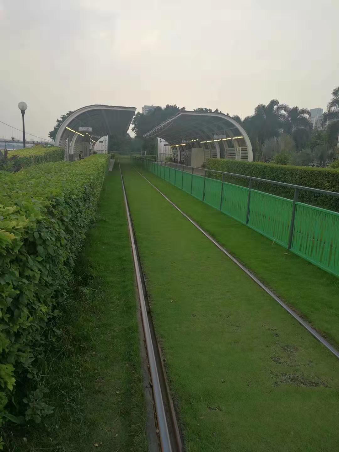 伟德国际体育在线