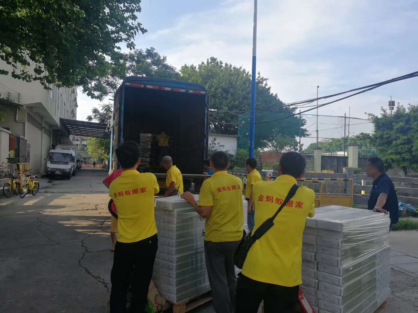 伟德国际体育在线