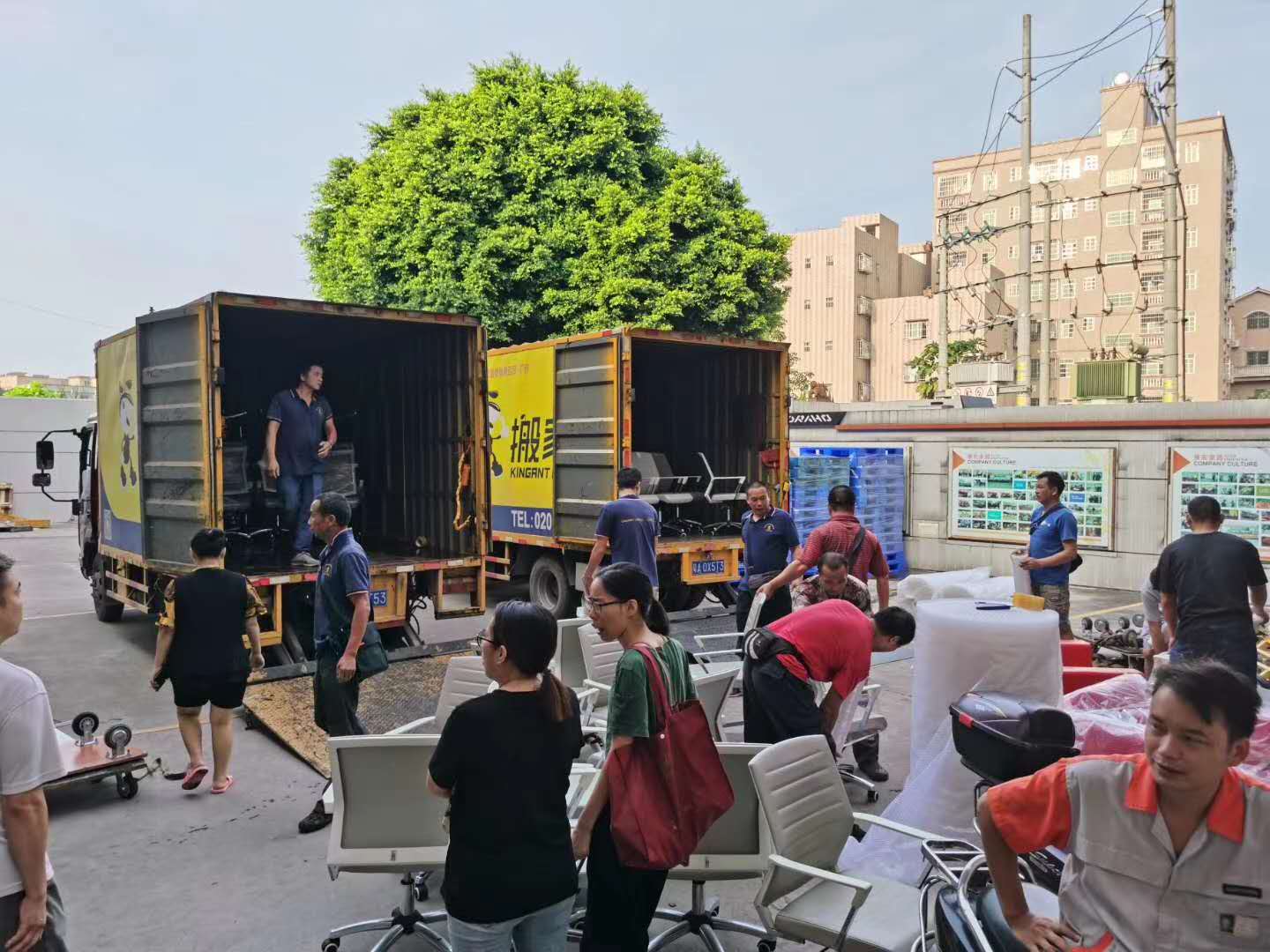 伟德国际体育在线