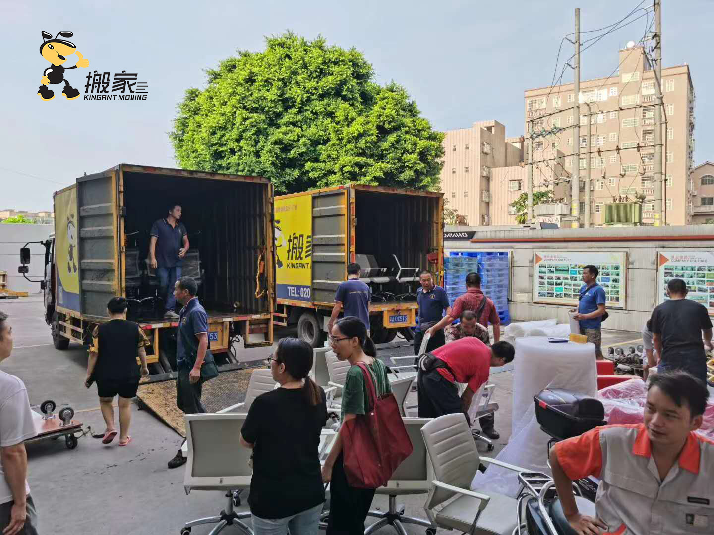 伟德国际体育在线