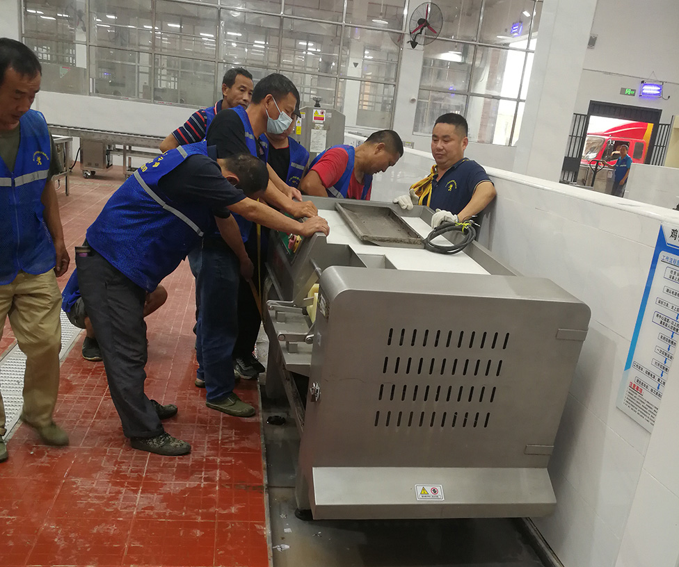 伟德国际体育在线