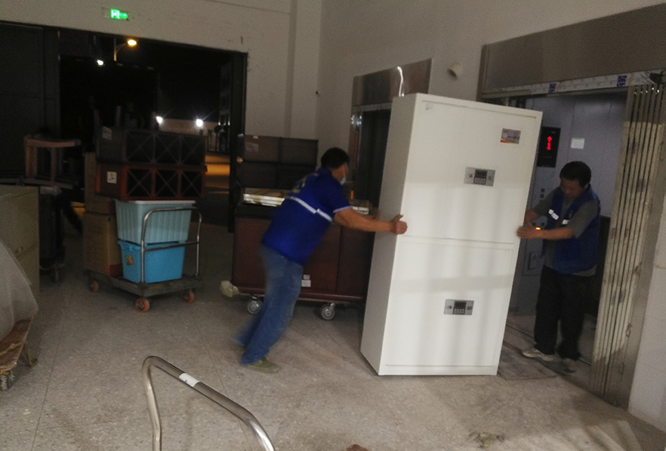 伟德国际体育在线