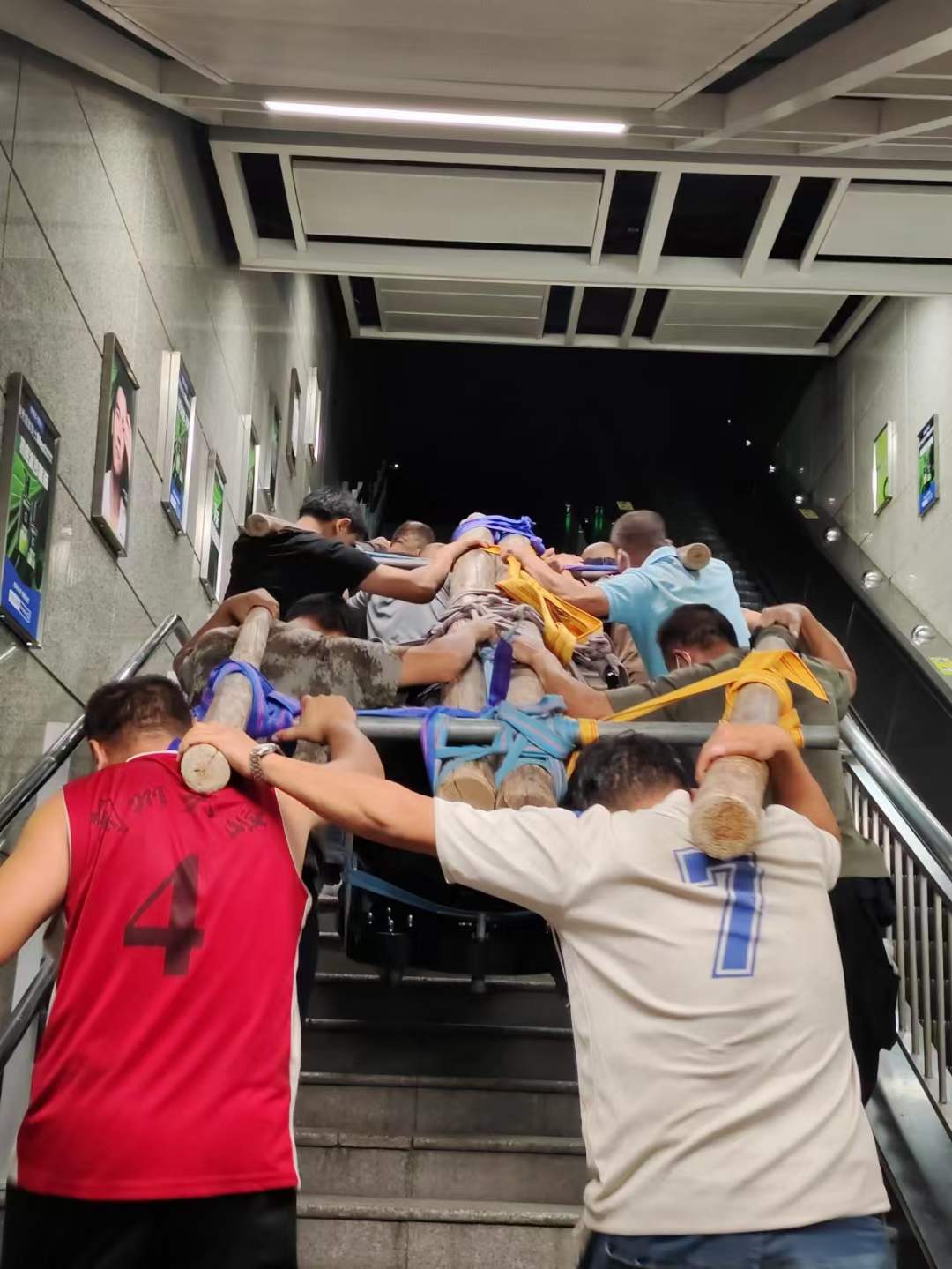 伟德国际体育在线